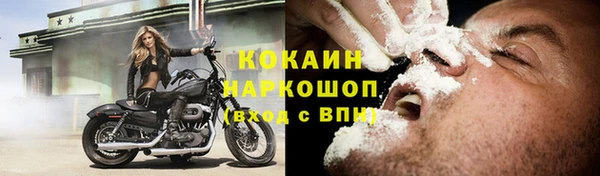 мдпв Краснослободск