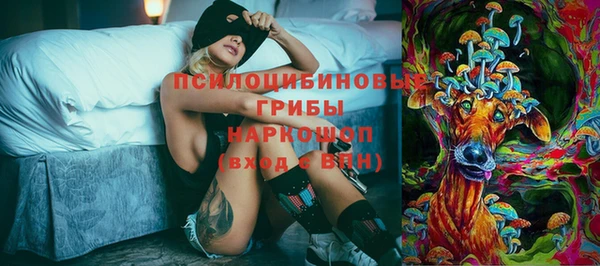 мет Кукмор