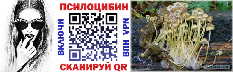 как найти наркотики  Нелидово  Псилоцибиновые грибы Psilocybe 